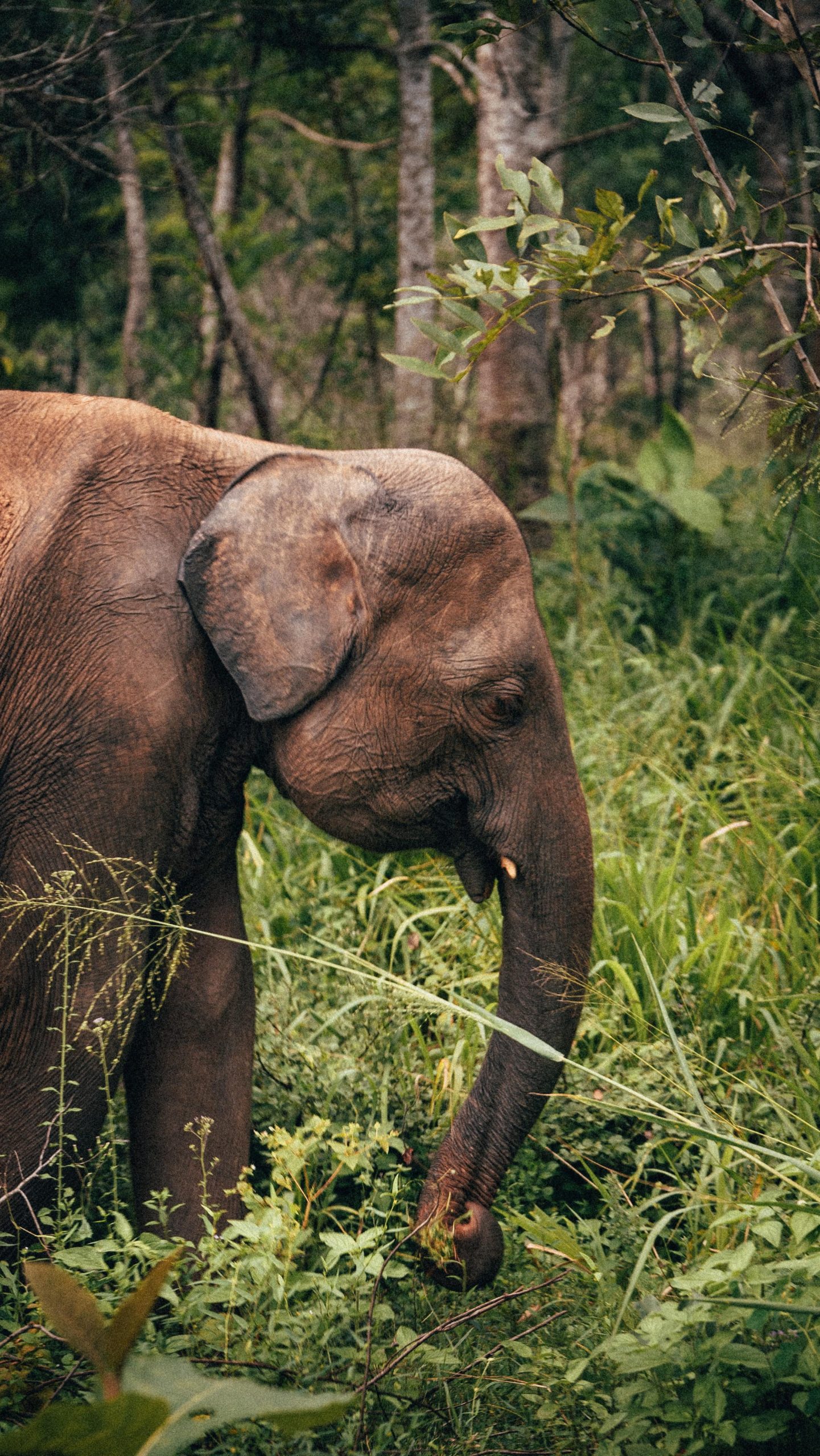 aaddabbecacfebdcdac ()